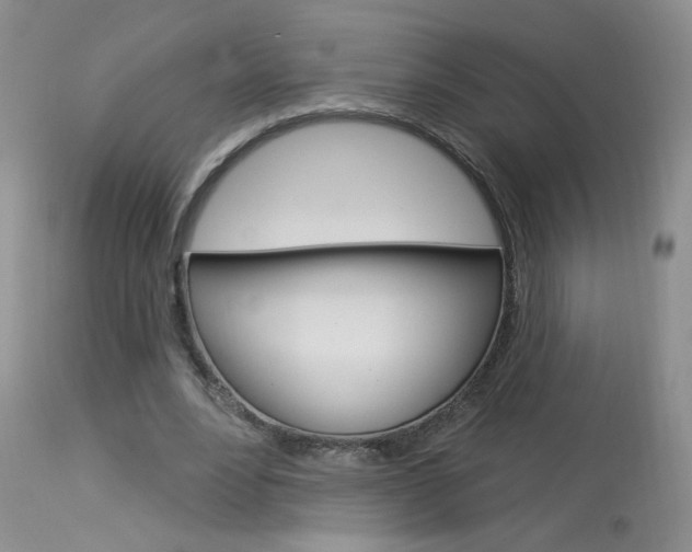 X0000114030488200910021044