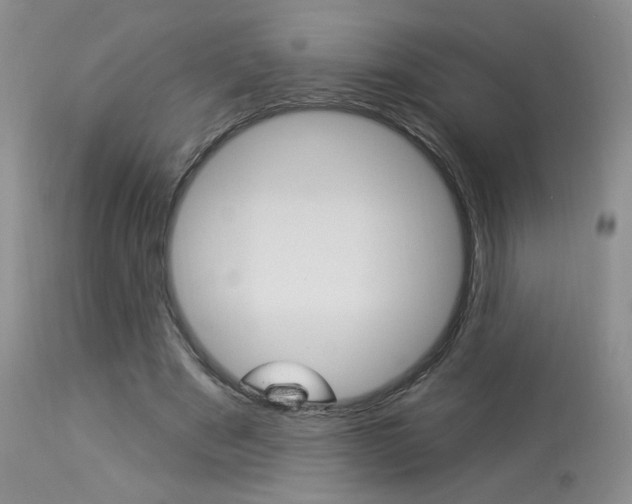 X0000114030489200910021044