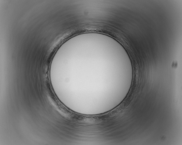 X0000114030490200910021044