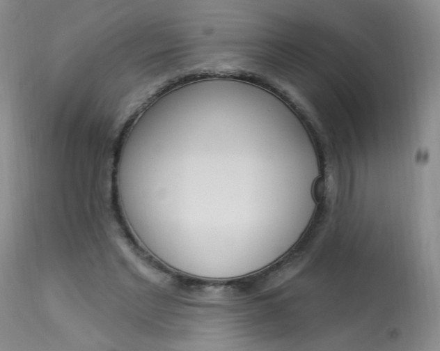 X0000114030493200910021044
