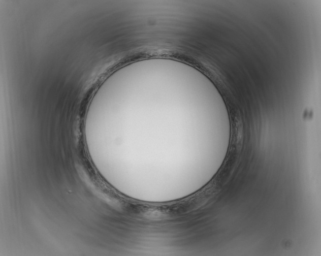 X0000114030494200910021044