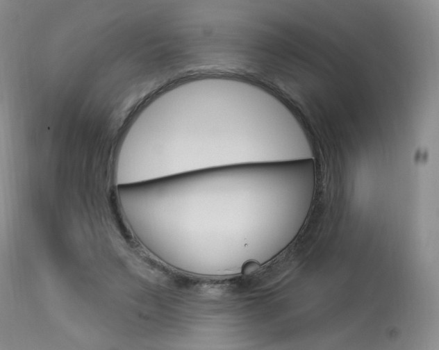 X0000114030495200910021044