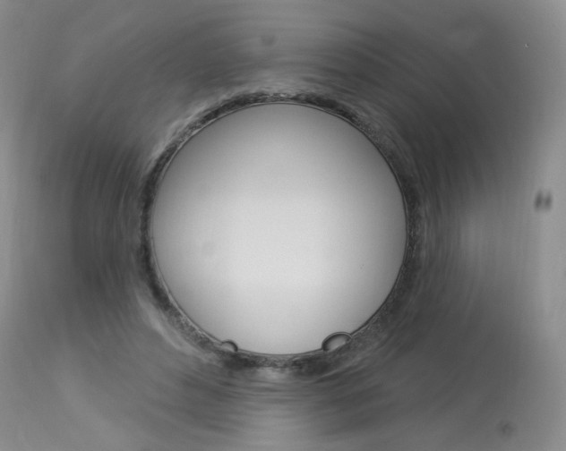 X0000114030496200910021044