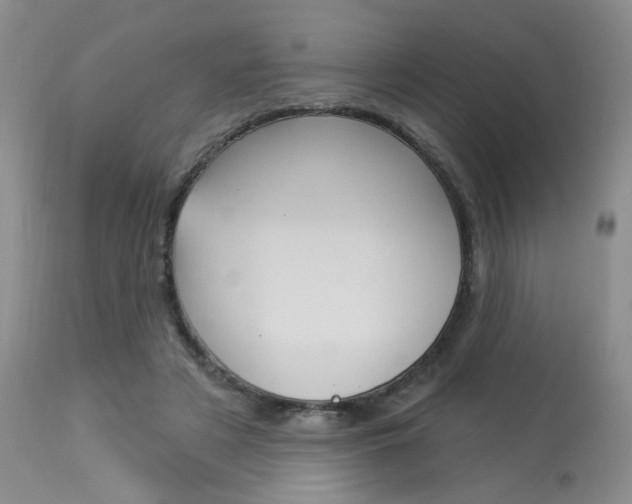 X0000114030497200910021044