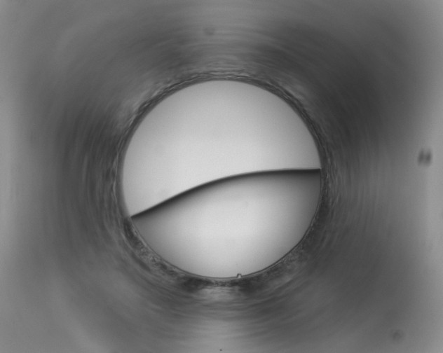 X0000114030499200910021044