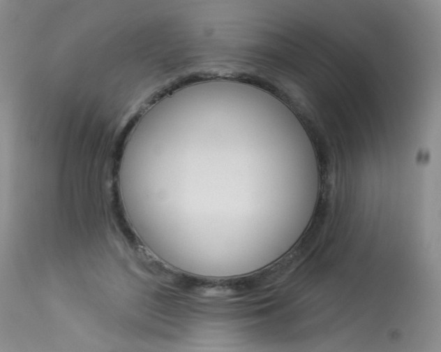 X0000114030500200910021044