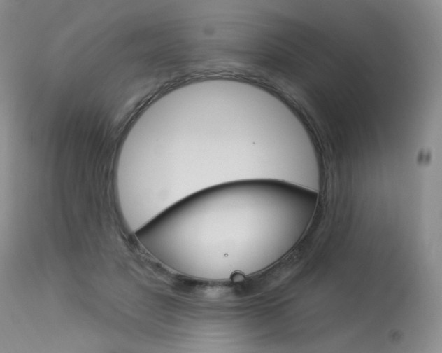 X0000114030501200910021044