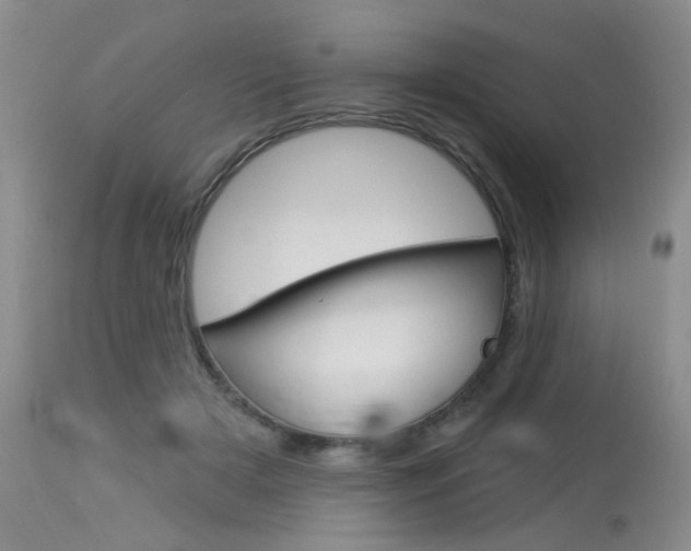 X0000114030505200910021044