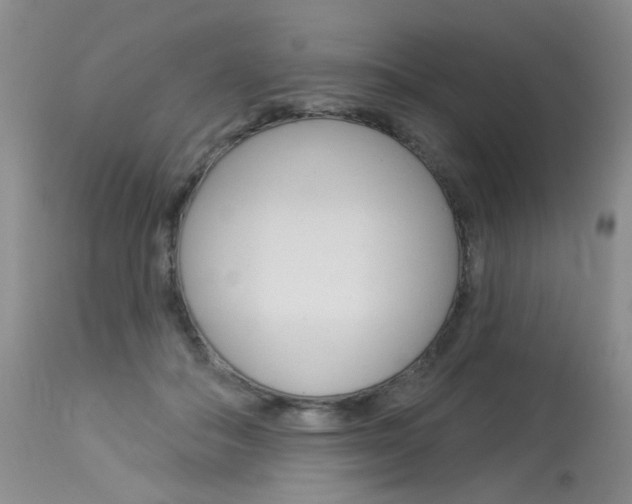 X0000114030506200910021044