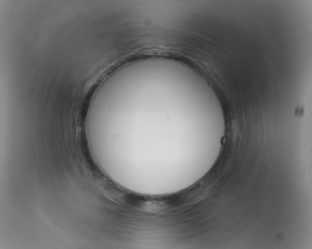 X0000114030508200910021044