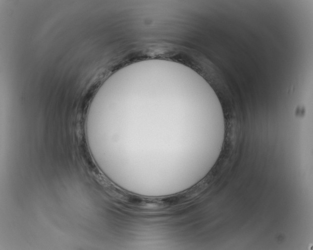 X0000114030510200910021044