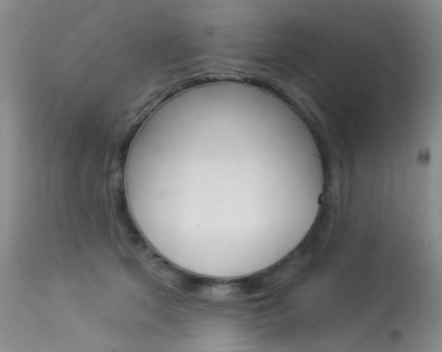 X0000114030513200910021044