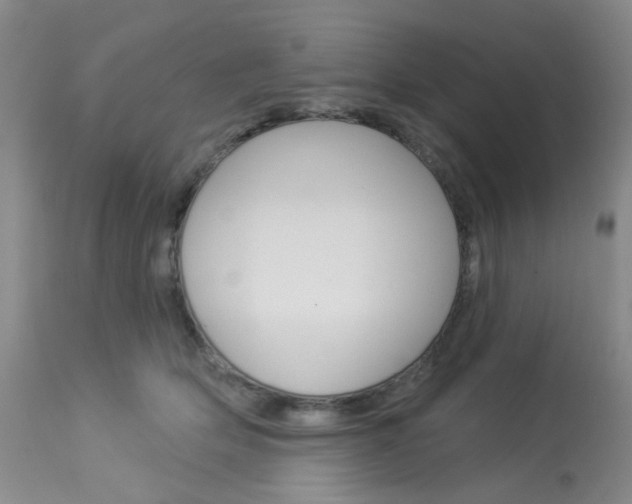 X0000114030514200910021044