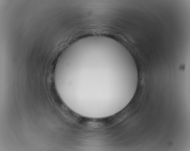 X0000114030515200910021044