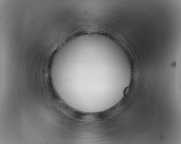 X0000114030516200910021044