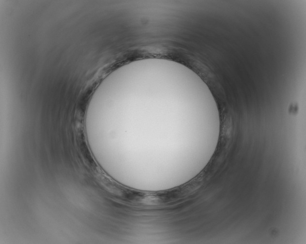 X0000114030518200910021044