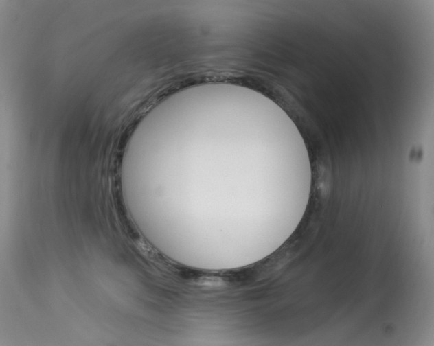 X0000114030519200910021044