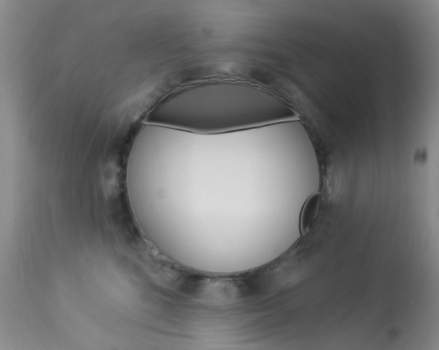 X0000114030520200910021044