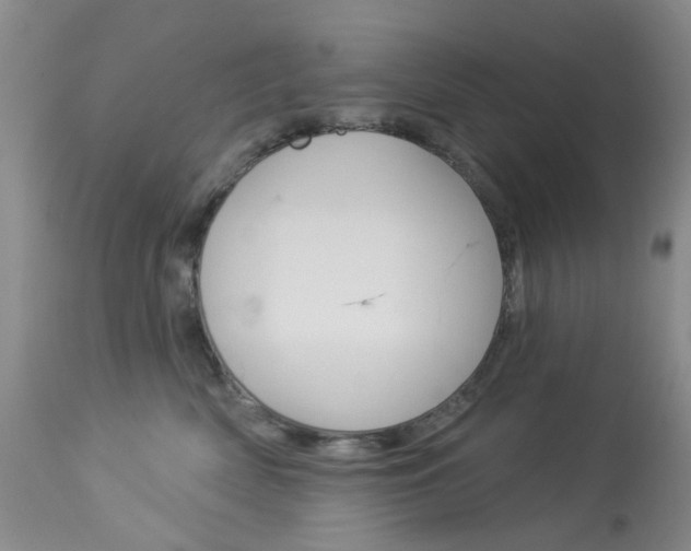 X0000114030522200910021044