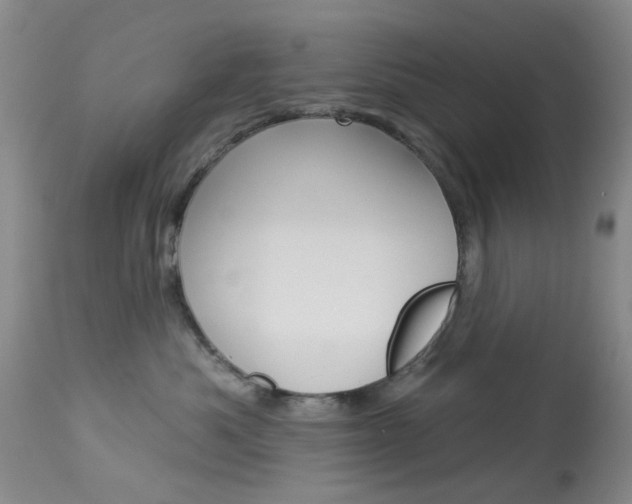 X0000114030525200910021044