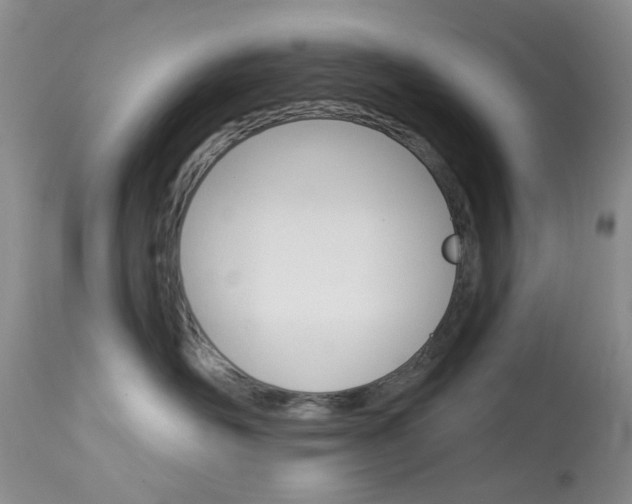 X0000114030526200910021044