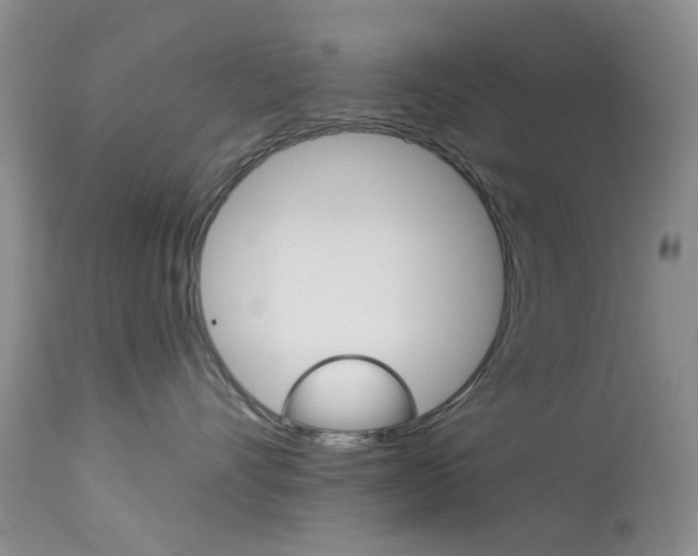 X0000114030528200910021044