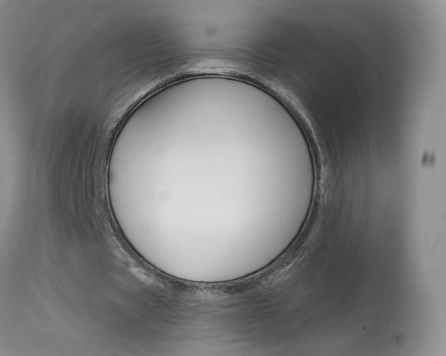 X0000114030529200910021043