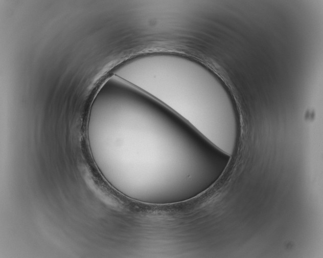 X0000114030530200910021043