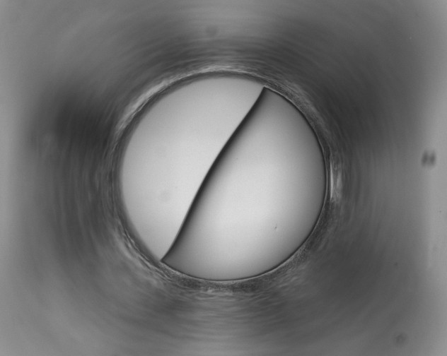 X0000114030531200910021043