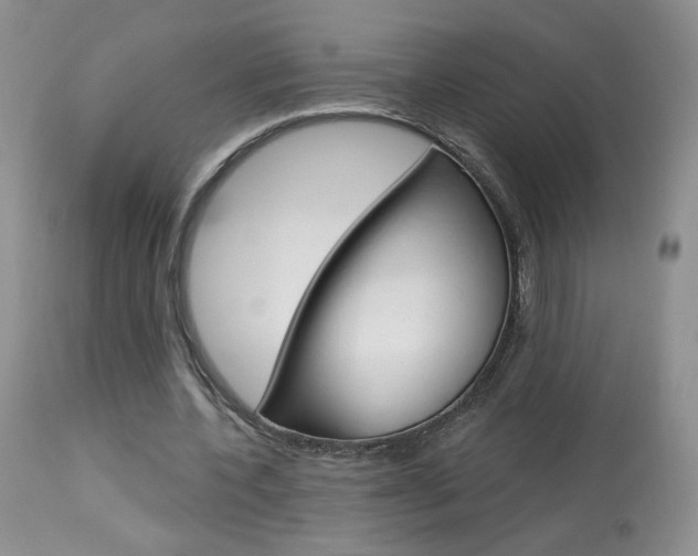 X0000114030532200910021043