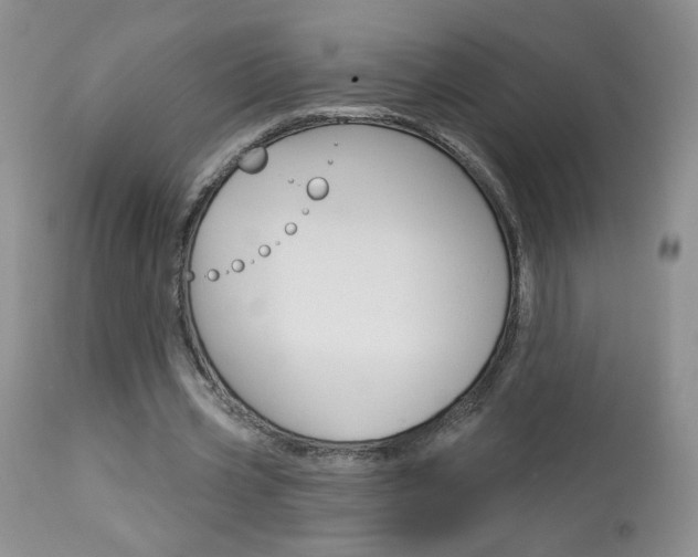 X0000114030533200910021043