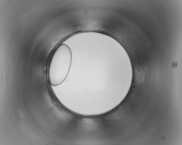X0000114030534200910021043