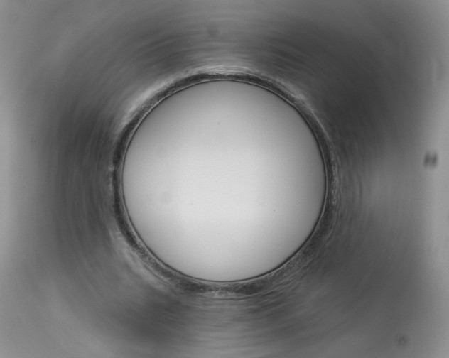 X0000114030535200910021043