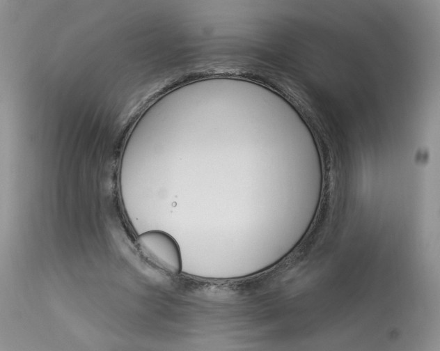 X0000114030537200910021043