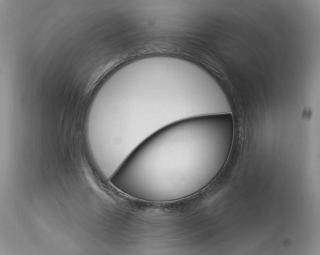 X0000114030538200910021043
