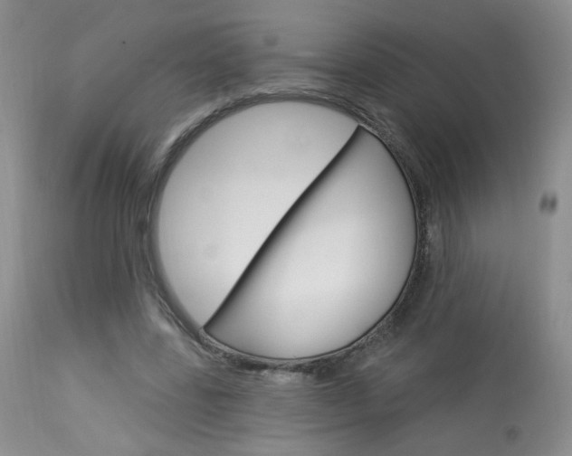 X0000114030539200910021043