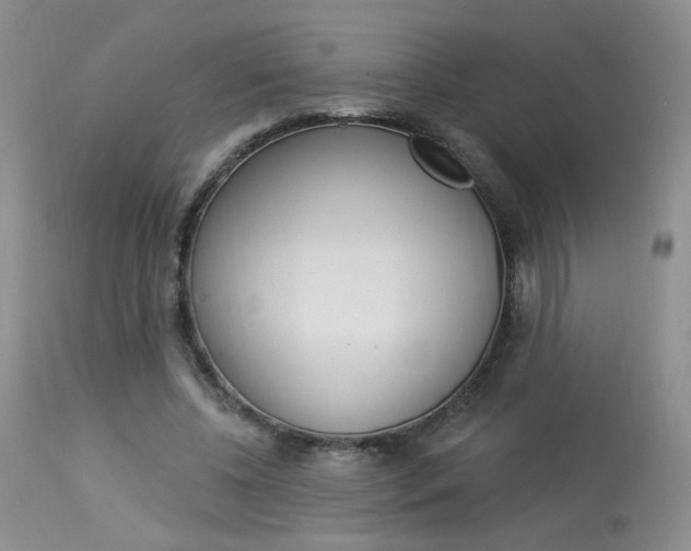 X0000114030540200910021043