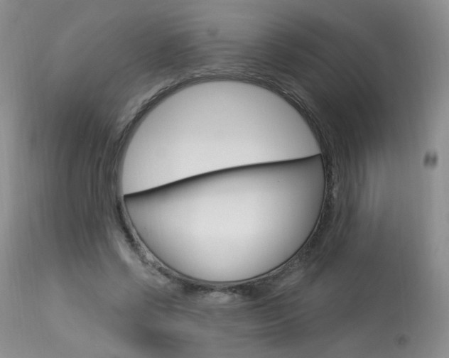 X0000114030542200910021043