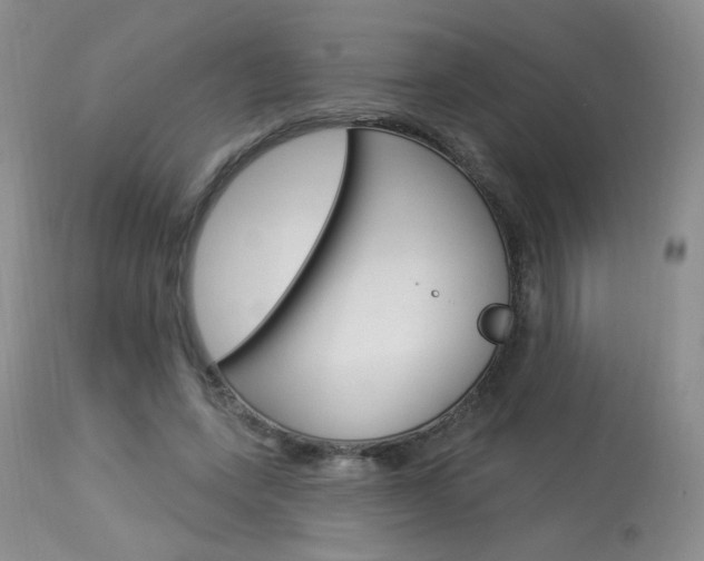 X0000114030543200910021043