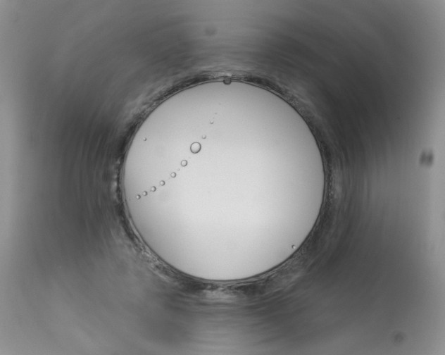 X0000114030545200910021043