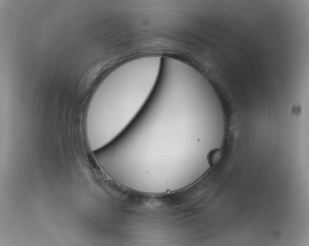 X0000114030547200910021043