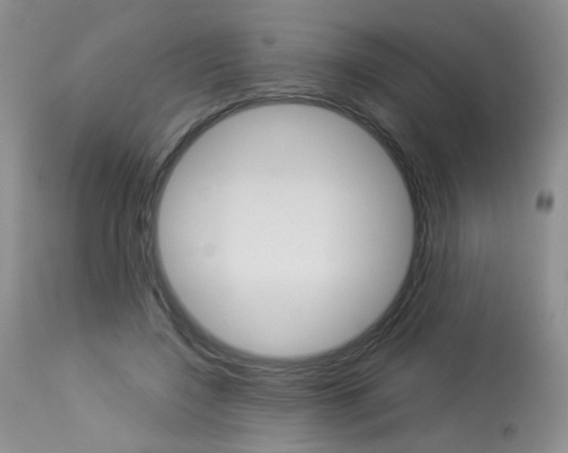 X0000114030548200910021043