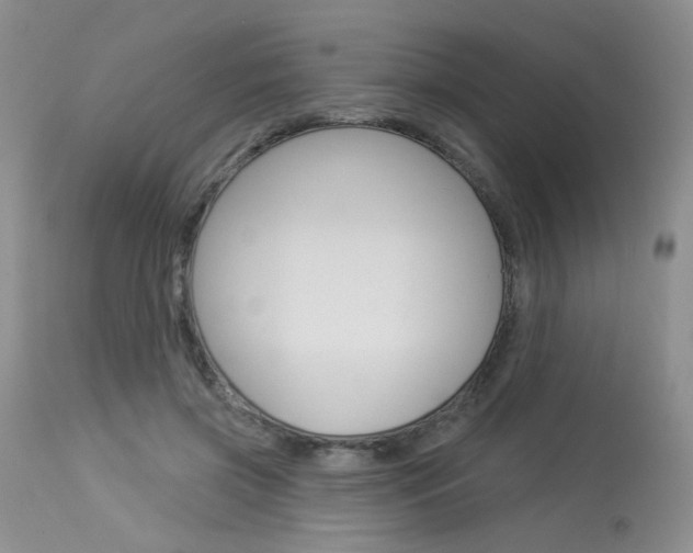 X0000114030549200910021043