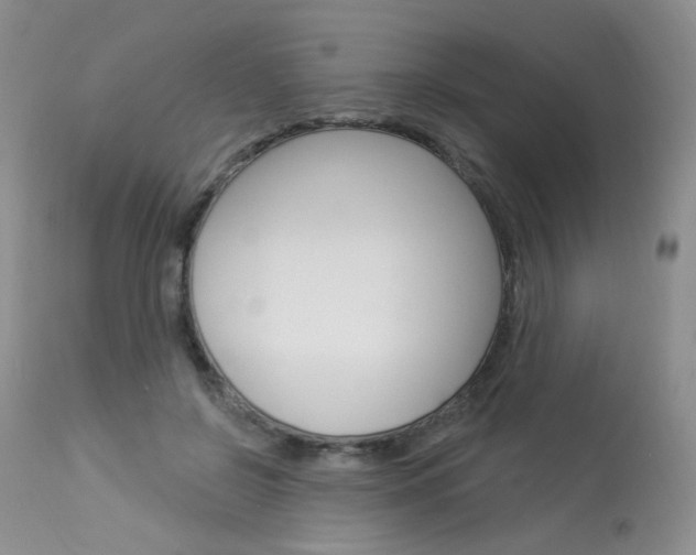 X0000114030550200910021043