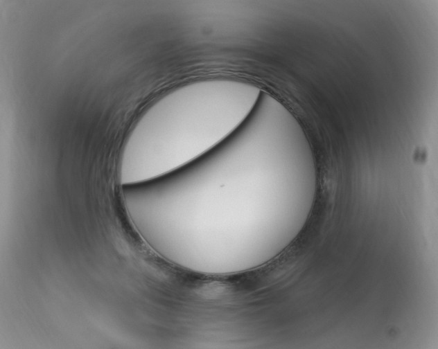 X0000114030551200910021043