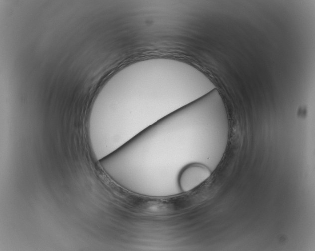 X0000114030555200910021043