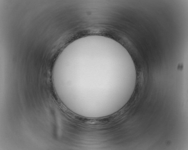 X0000114030557200910021043
