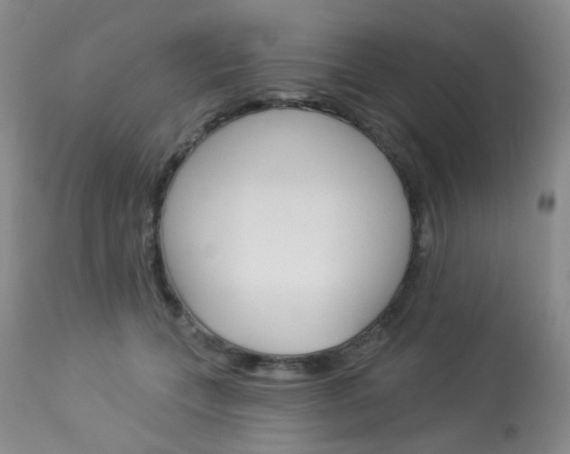 X0000114030559200910021043