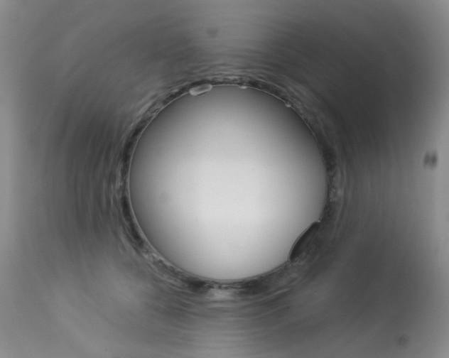 X0000114030560200910021043