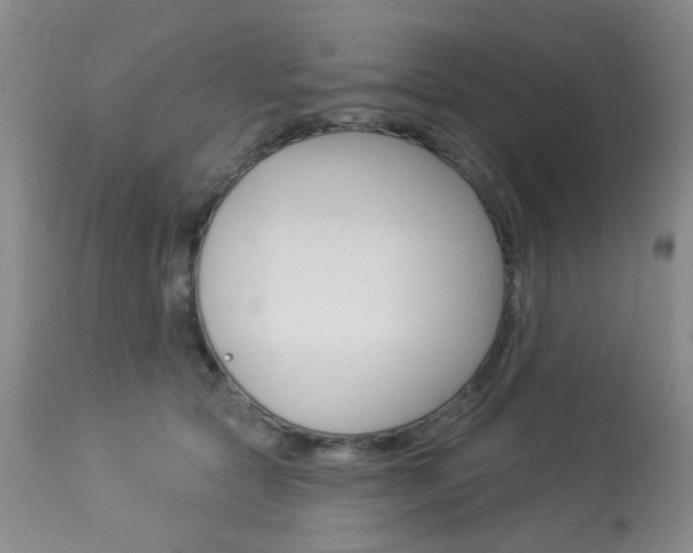 X0000114030561200910021043